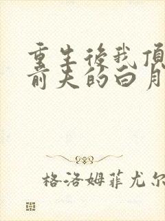 重生后我顶替了前夫的白月光