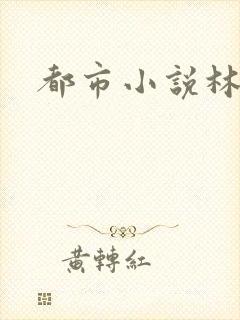 都市小说林凡