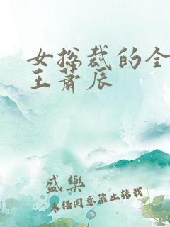 女总裁的全能兵王萧辰