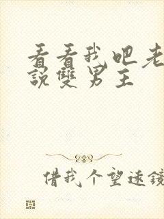 看看我吧老婆小说双男主