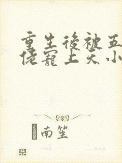 重生后被五个大佬宠上天小说