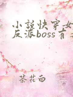 小说快穿女配之反派boss有毒免费阅读