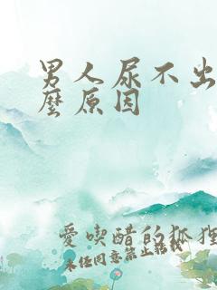 男人尿不出尿什么原因