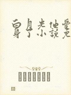 白月光他爱上替身了小说免费阅读