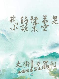 我的徒弟是女帝小说叶空