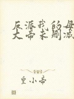 反派我的母亲是大帝未删减版