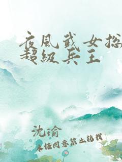 夜风武女总裁的超级兵王