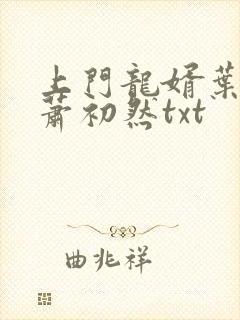 上门龙婿叶辰,萧初然txt