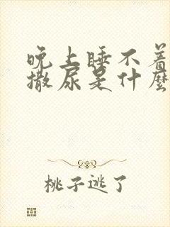 晚上睡不着觉总撒尿是什么原因