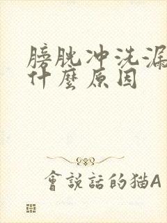 膀胱冲洗漏尿是什么原因