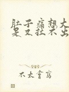 肚子痛想大便但是又拉不出来是什么原因