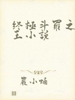 终极斗罗之灵龙王小说