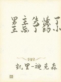 男主失忆了把女主忘了的小说