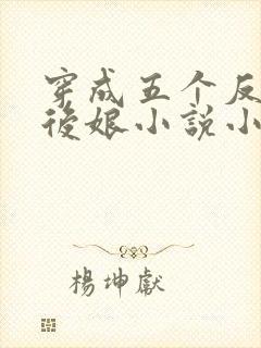 穿成五个反派的后娘小说小说