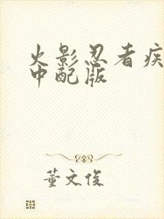 火影忍者疾风传中配版