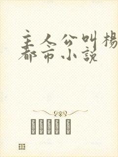 主人公叫杨凡的都市小说