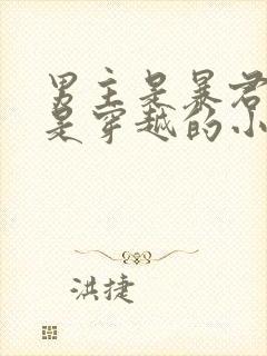 男主是暴君女主是穿越的小说