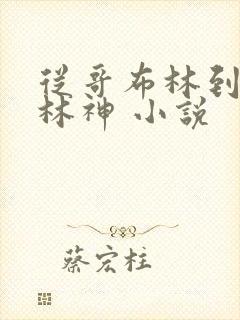 从哥布林到哥布林神 小说