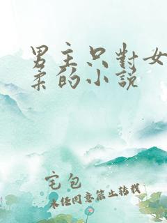 男主只对女主温柔的小说