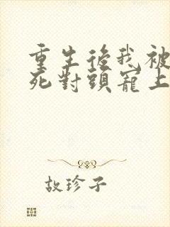 重生后我被渣男死对头宠上天