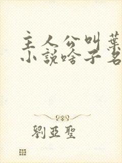 主人公叫叶凡的小说啥子名字