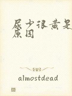 尿少很黄是什么原因