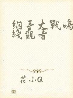 纲手大战鸣人在线观看