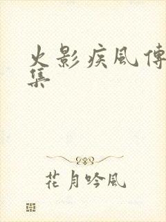 火影疾风传多少集