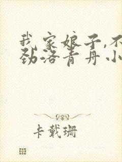 我家娘子,不对劲洛青舟小说无弹窗