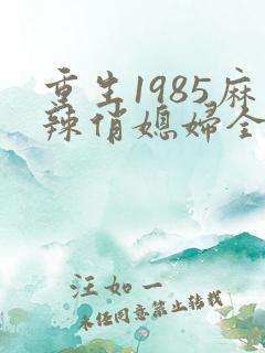 重生1985麻辣俏媳妇全文阅读