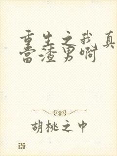 重生之我真没想当渣男啊