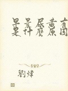 早晨尿黄有泡沫是什么原因引起的