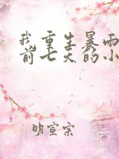 我重生暴雨末世前七天的小说