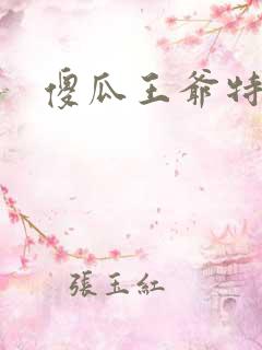 傻瓜王爷特工妃