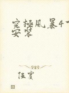 究极风暴4下载安装