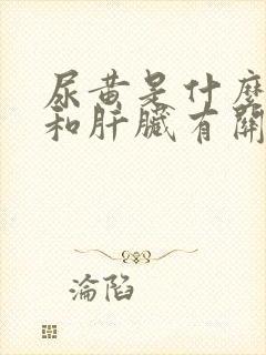 尿黄是什么原因和肝脏有关系吗