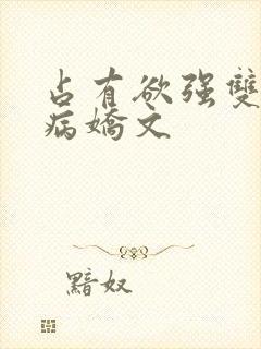 占有欲强双男主病娇文