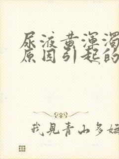 尿液黄浑浊什么原因引起的