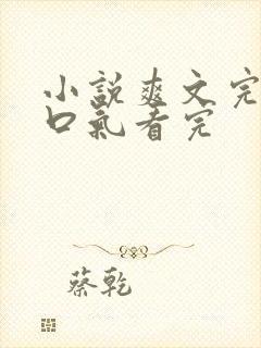 小说爽文完结一口气看完