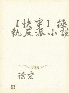 【快穿】拯救偏执反派小说免费阅读