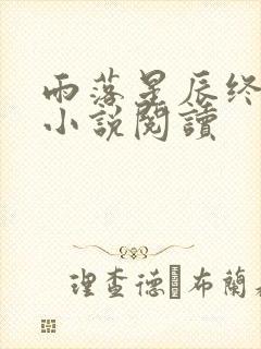 雨落星辰终成空小说阅读