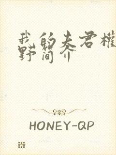 我的夫君权倾朝野简介