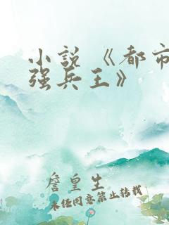 小说 《都市最强兵王》