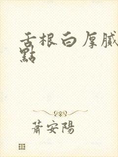 舌根白厚腻有红点