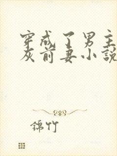 穿成了男主的炮灰前妻小说