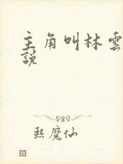 主角叫林云的小说