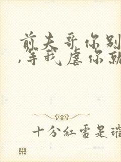 前夫哥你别嚣张,等我虐你就老实了免费阅读