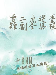 贾二虎逆袭人生短剧全集视频