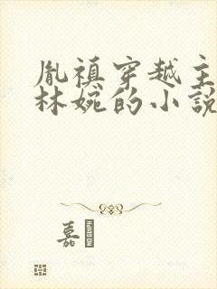 胤禛穿越主角叫林婉的小说