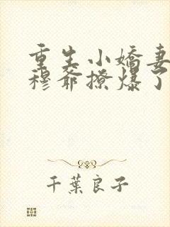 重生小娇妻偏执穆爷撩爆了